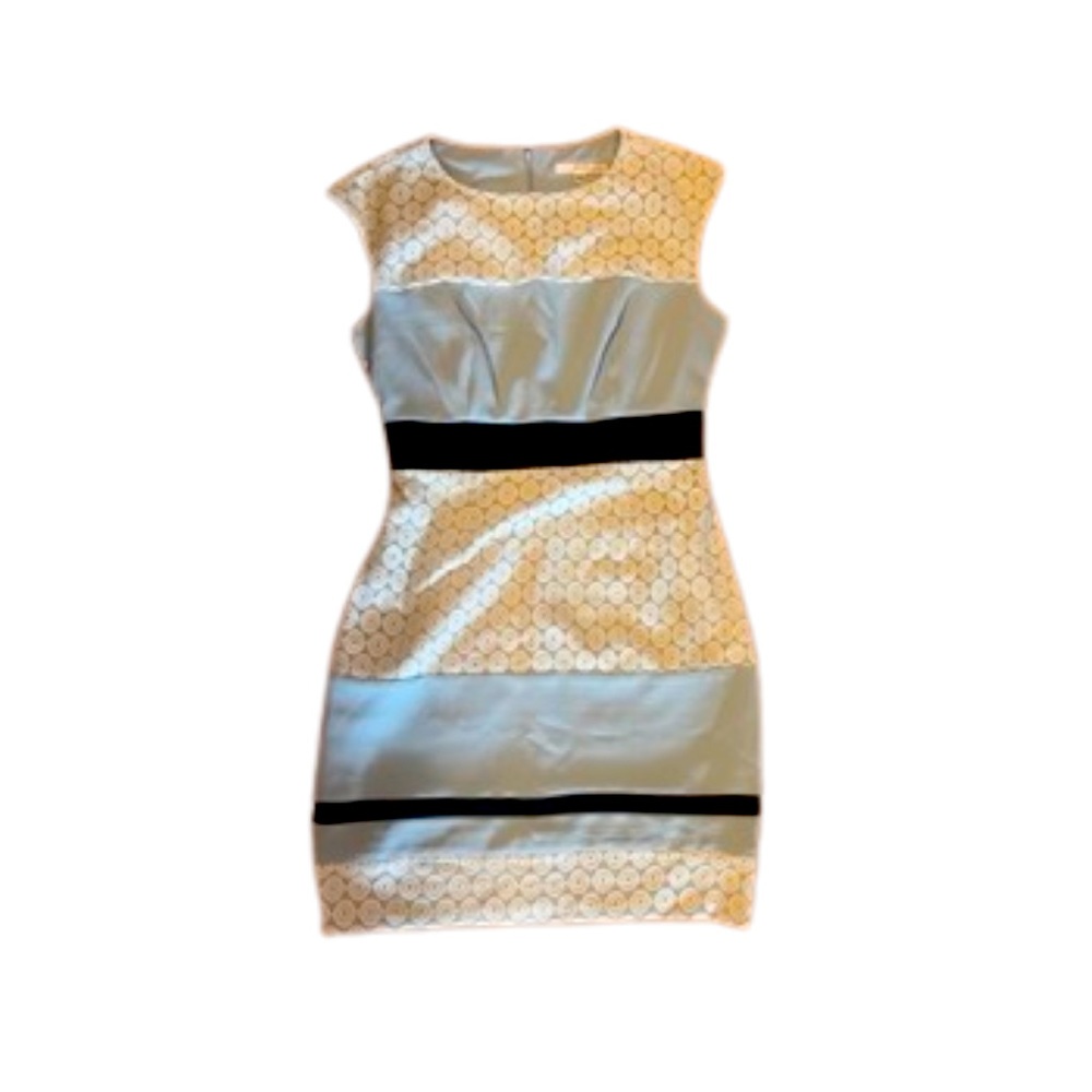 Blue Striped Dress